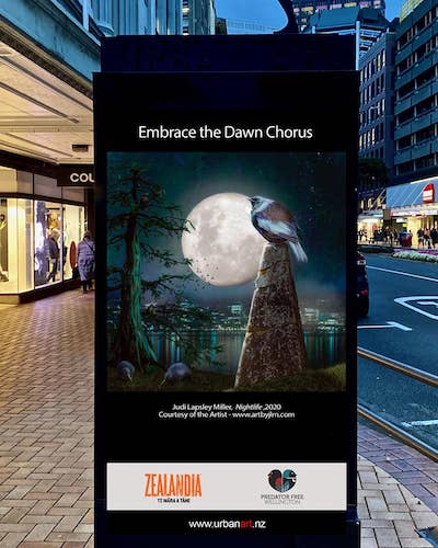 8. PFW Collaboration project celebrating the Dawn Chorus returning to Wellington 2021